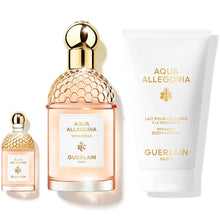 AQUA ALLEGORIA ROSA ROSSA CASE 3 pcs