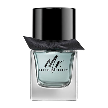 MR BURBERRY edt vapor