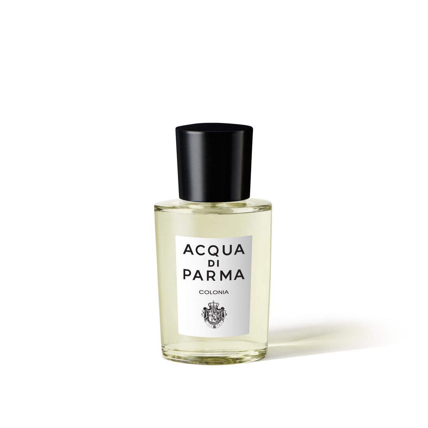 Colonia Cologne