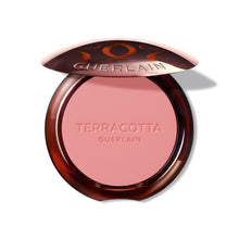 Terracotta Blush