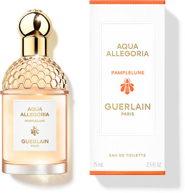 Aqua Allegoria Pamplelune