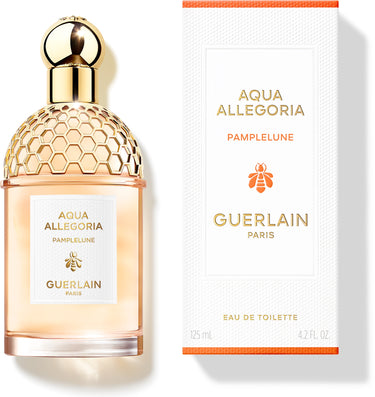 Aqua Allegoria Pamplelune