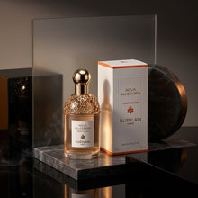 Aqua Allegoria Pamplelune