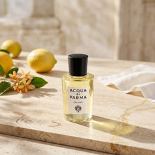 Colonia Cologne