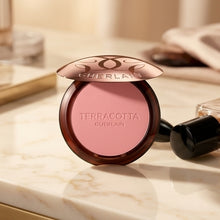 Terracotta Blush